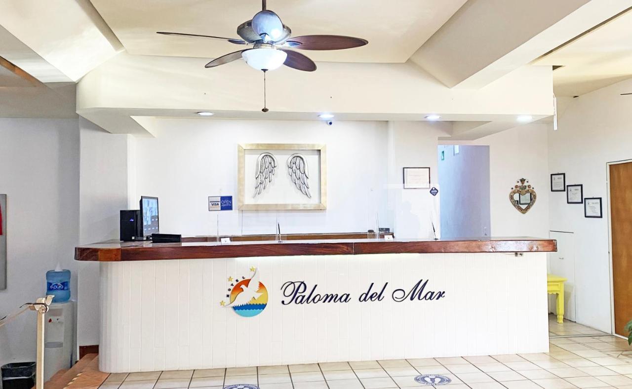 Paloma Del Mar (Adults Only) Hotel Puerto Vallarta Exterior foto
